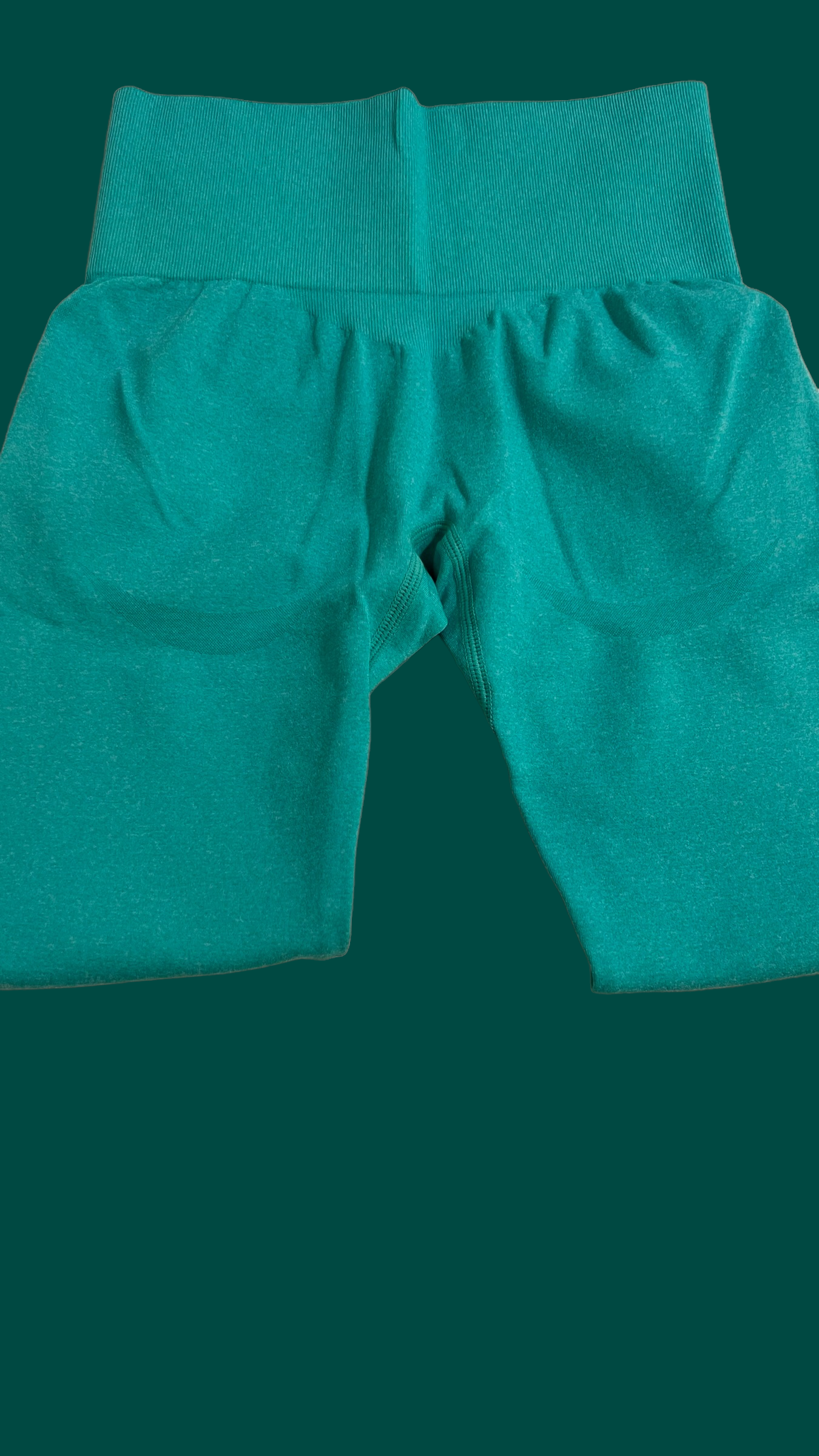 Flex High Waisted Seamless Leggings